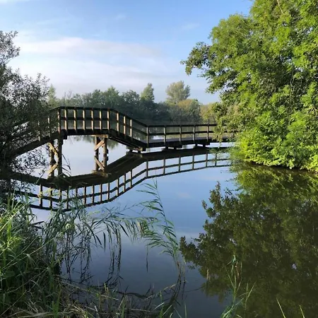 木屋 555 Op Recreatiepark De Wielen 荷属圣马丁