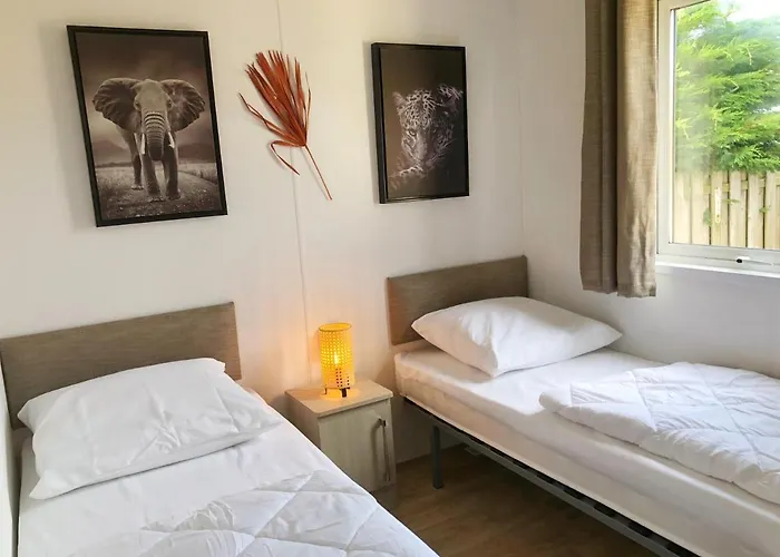 555 Op Recreatiepark De Wielen 木屋 荷属圣马丁