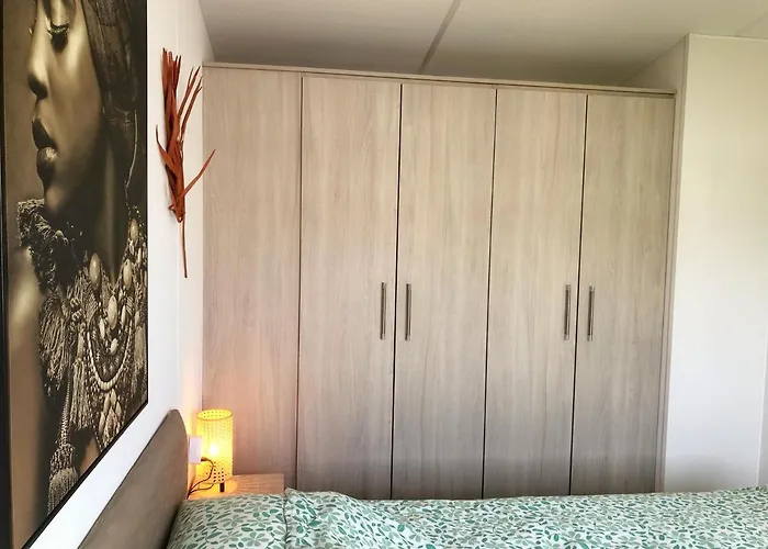 555 Op Recreatiepark De Wielen 木屋