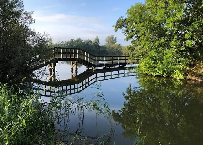 木屋 555 Op Recreatiepark De Wielen 荷属圣马丁